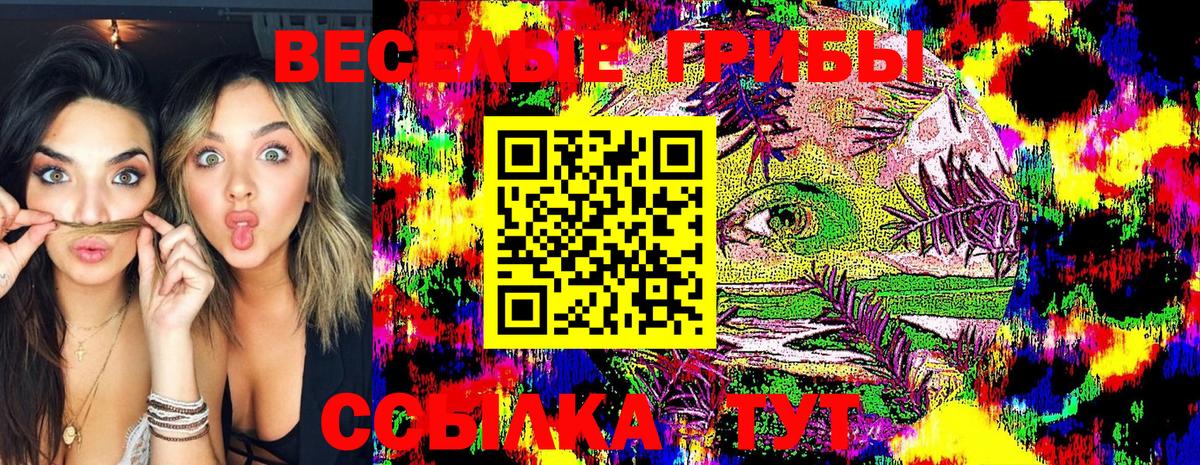 Галлюциногенные грибы Magic Shrooms  Вход с VPN  Кириши 